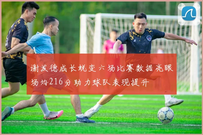 谢泼德成长蜕变六场比赛数据亮眼场均216分助力球队表现提升